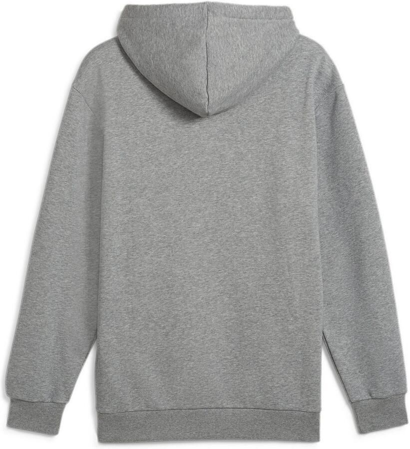 PUMA Hoodie POWER GRAPHIC HOODIE FL