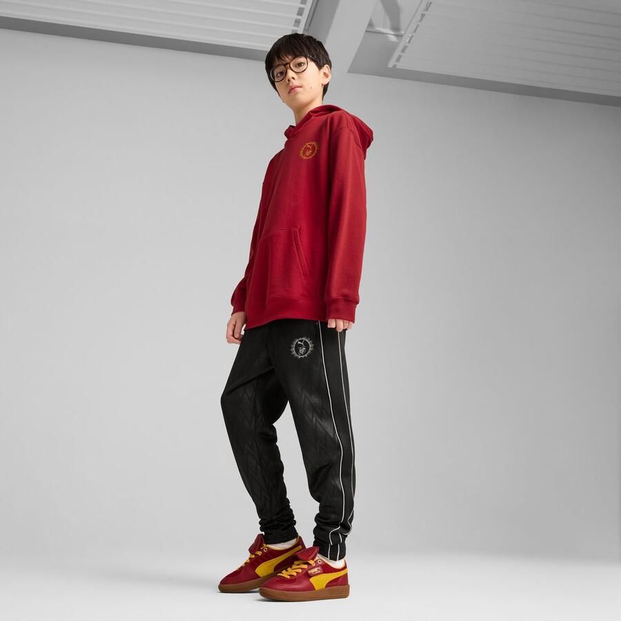 PUMA Hoodie X HARRY POTTER RELAXED GRAPHIC HOODIE TR