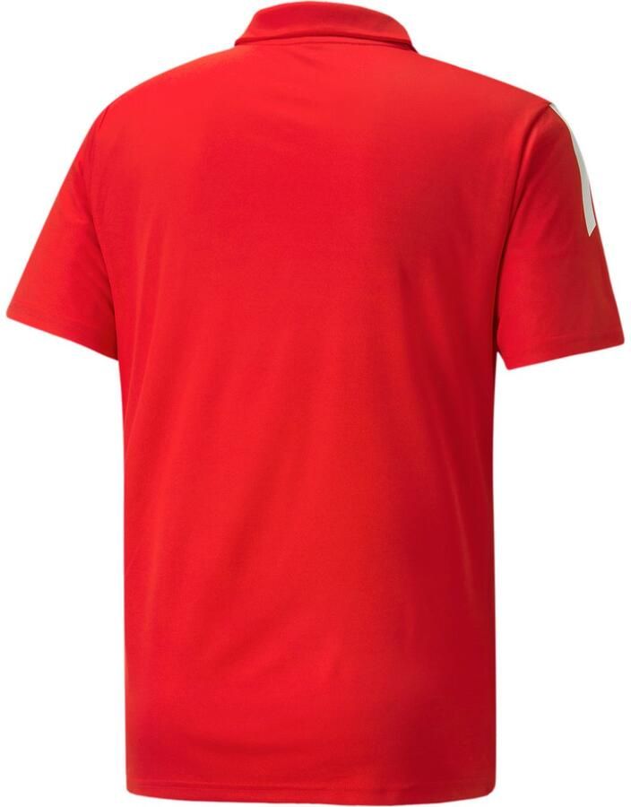 PUMA Poloshirt TEAMLIGA SIDELINE POLO