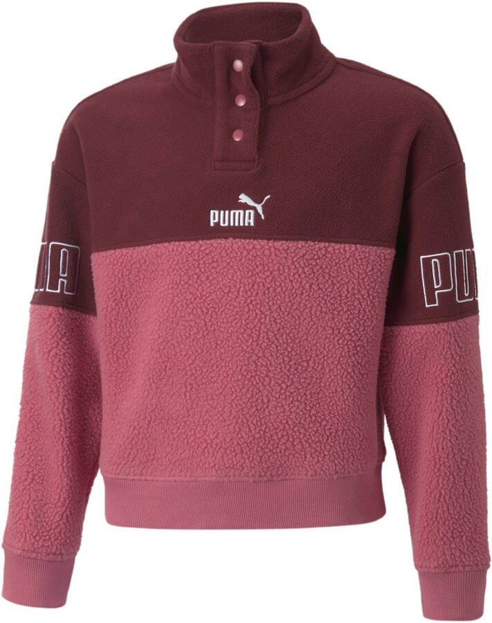 PUMA Sweatshirt ESS Logo Hoodie FL G