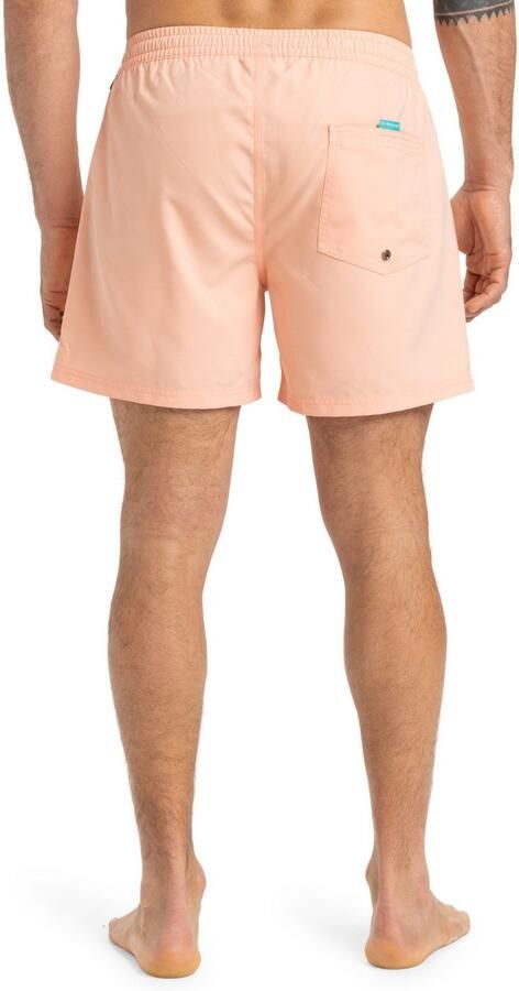 Quiksilver Boardshort Everyday Solid Volley 15" - Foto 6