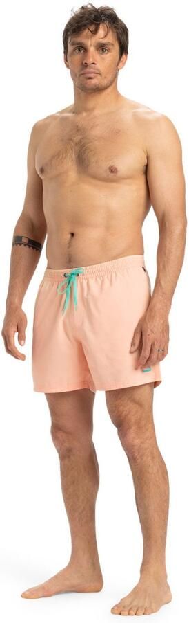 Quiksilver Boardshort Everyday Solid Volley 15" - Foto 5