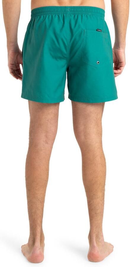 Quiksilver Zwemshort EVERYDAY VOLLEY 15 (1 stuk) - Foto 6