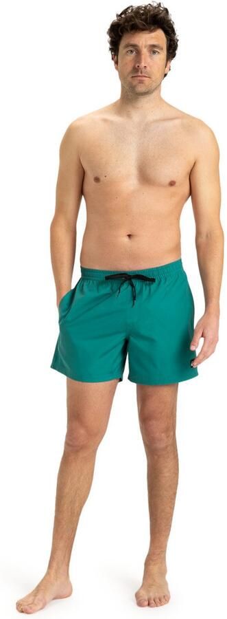 Quiksilver Zwemshort EVERYDAY VOLLEY 15 (1 stuk) - Foto 4