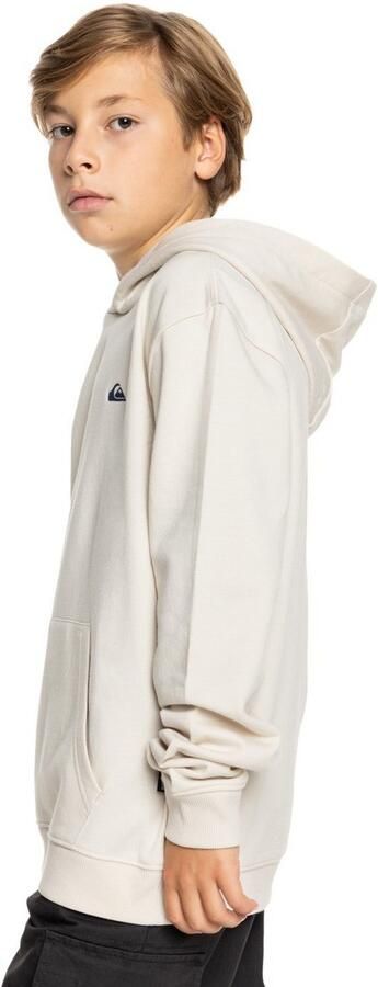 Quiksilver Hoodie met labelstitching - Foto 4