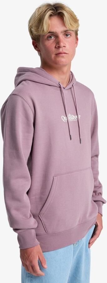Quiksilver Hoodie SCREEN FLEECE FINELINE HOODIE - Foto 7
