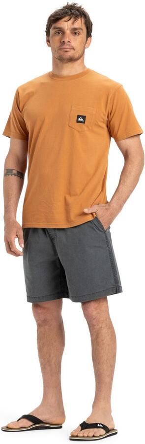 Quiksilver Short Taxer Ws - Foto 5