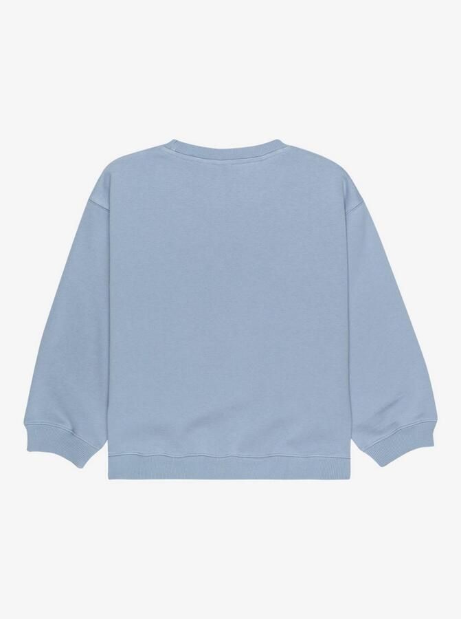 Roxy Sweatshirt MORNING HIKE BRUSHED RG (1-delig)