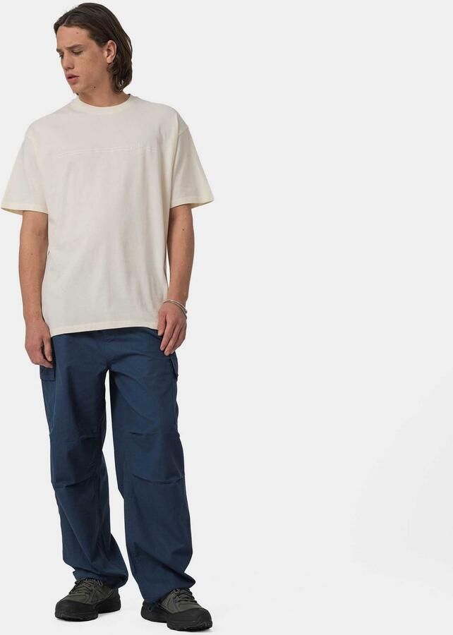 Santa Cruz T-shirt TONAL OPUS DOT STRIPE T-SHIRT (1-delig) - Foto 3