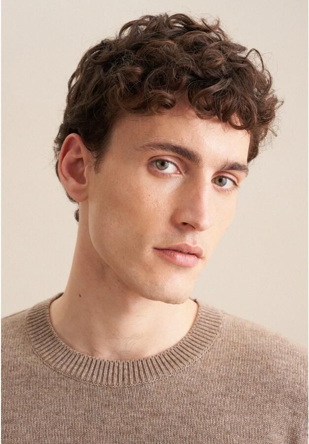 Seidensticker Gebreide trui Regular Lange mouwen ronde hals uni - Foto 2