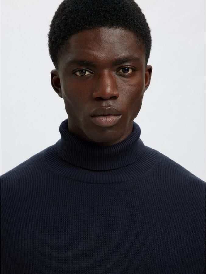 SELECTED HOMME Coltrui SLHDANE LS KNIT STRUCTURE ROLL NECK NOOS