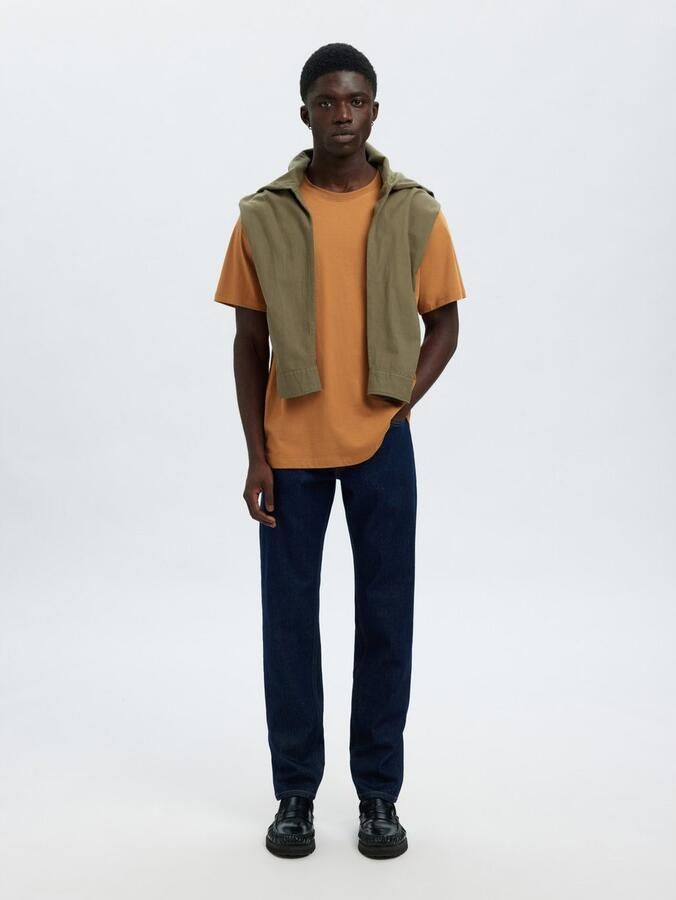 Selected Homme Regular fit T-shirt van puur katoen model 'ASPEN'