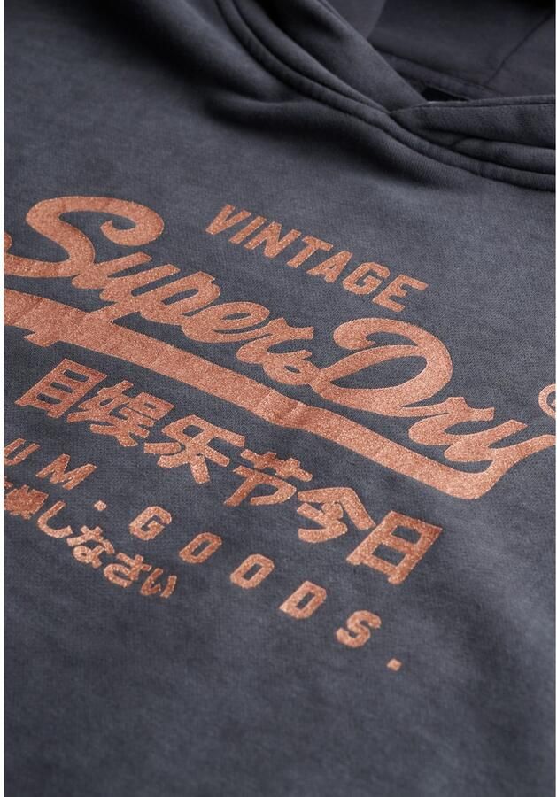 Superdry Sweater Sweatshirt à capuche métallisé femme Vintage Logo