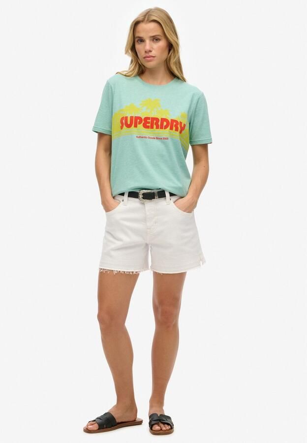 Superdry Shirt met korte mouwen OUTDOOR STRIPE RELAXED TEE - Foto 3