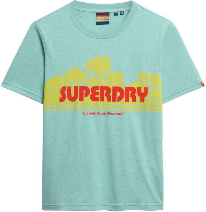 Superdry Shirt met korte mouwen OUTDOOR STRIPE RELAXED TEE - Foto 5