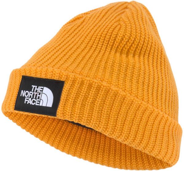 The North Face Beanie SALTY DOG LINED BEANIE
