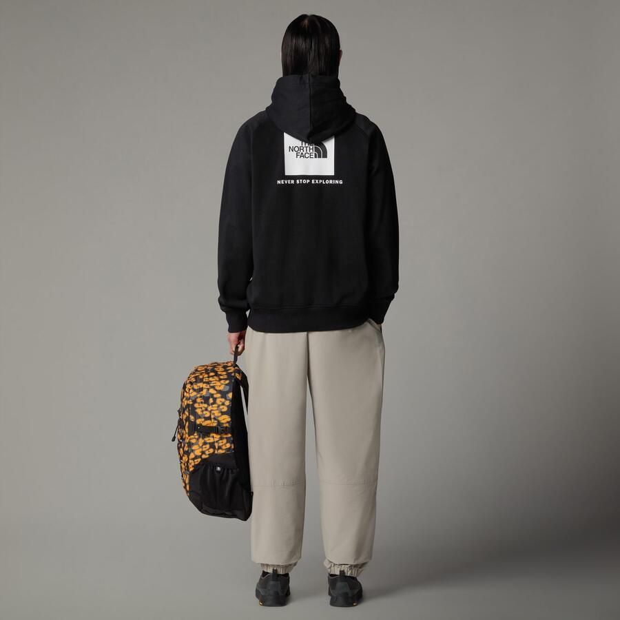 The North Face Sweater M Raglan Box Nse Hoodie