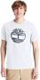 Timberland Witte T shirt Ss K r Brand Tree T - Thumbnail 3
