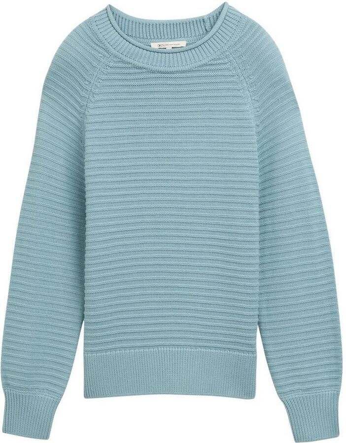 Tom Tailor Denim Gebreide trui met ottoman-structuur