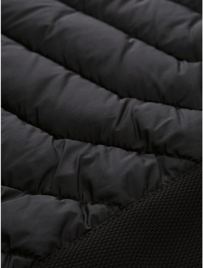 Tom Tailor Regular fit gewatteerd jack met ritssluiting