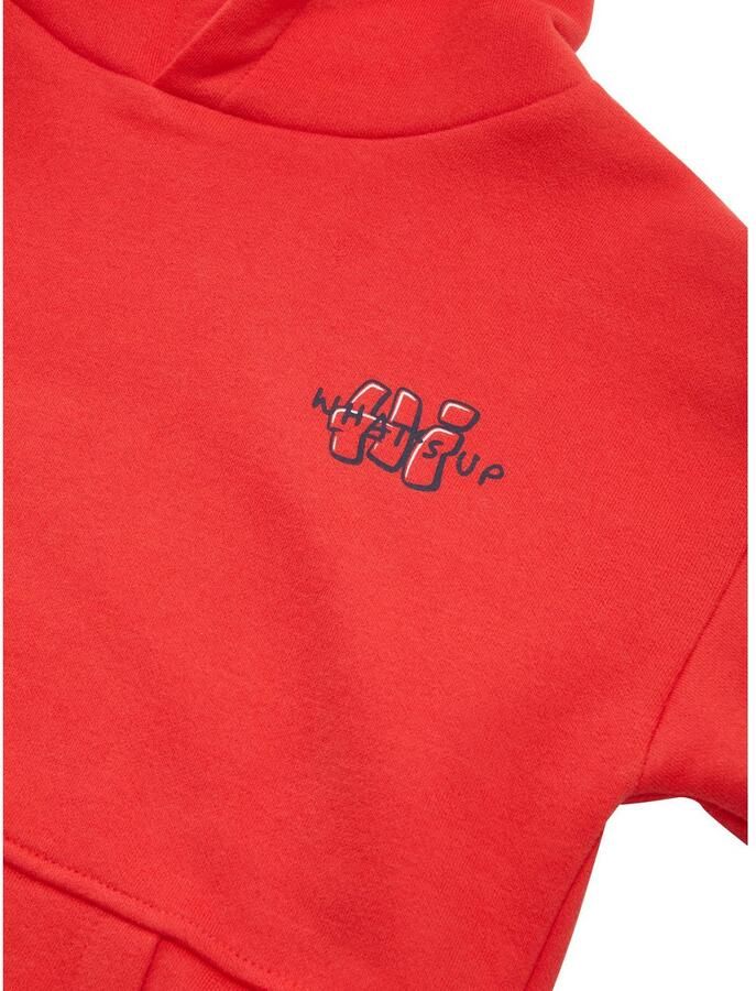 Tom Tailor Hoodie met eland-frontprint en rugprint voor kids