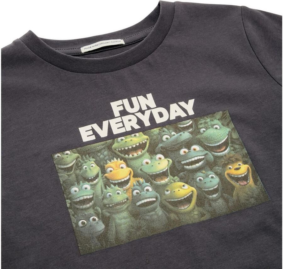 Tom Tailor Regular fit T-shirt van puur katoen