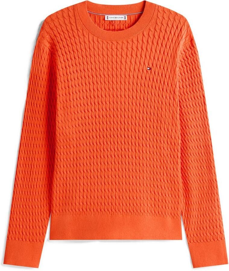 Tommy Hilfiger Curve Gebreide trui CRV CO CABLE FINE GG C-NK LS SWT