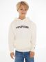 Tommy Hilfiger hoodie HILFIGER ARCHED met logo offwhite Sweater Wit Logo 140 - Thumbnail 2