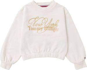 Tommy Hilfiger Sweatshirt TOMMY NY SCRIPT SWEATSHIRT L S (1-delig)