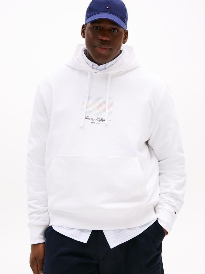 Tommy Hilfiger Hoodie BT-ITHACA FLAG HOODIE-B - Foto 6