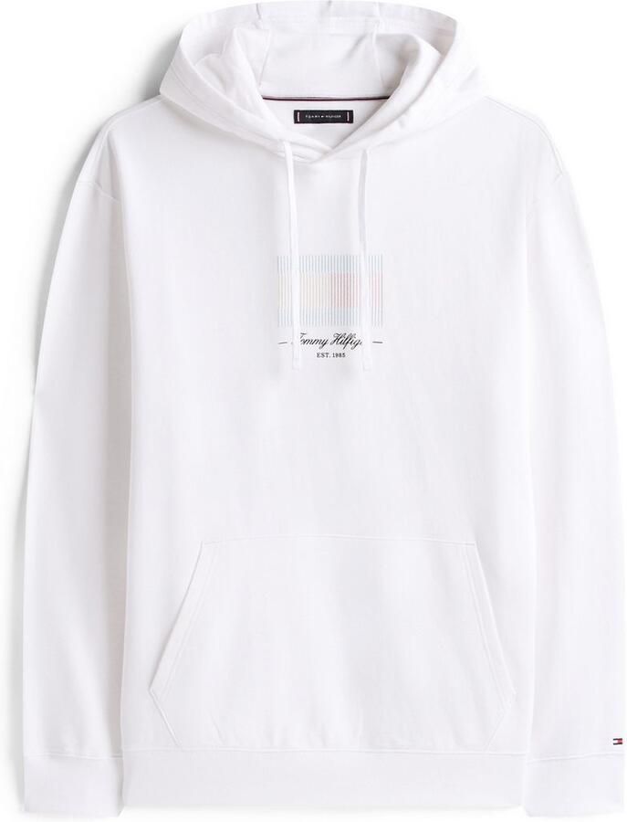 Tommy Hilfiger Hoodie BT-ITHACA FLAG HOODIE-B - Foto 2