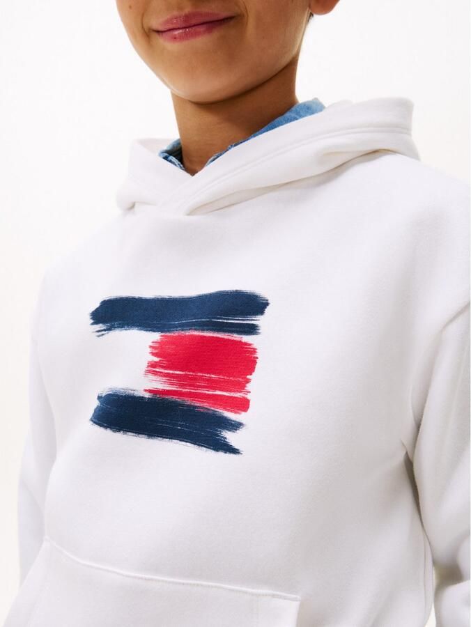 Tommy Hilfiger Hoodie FLAG HOODIE Kinderen tot 16 jaar - Foto 3