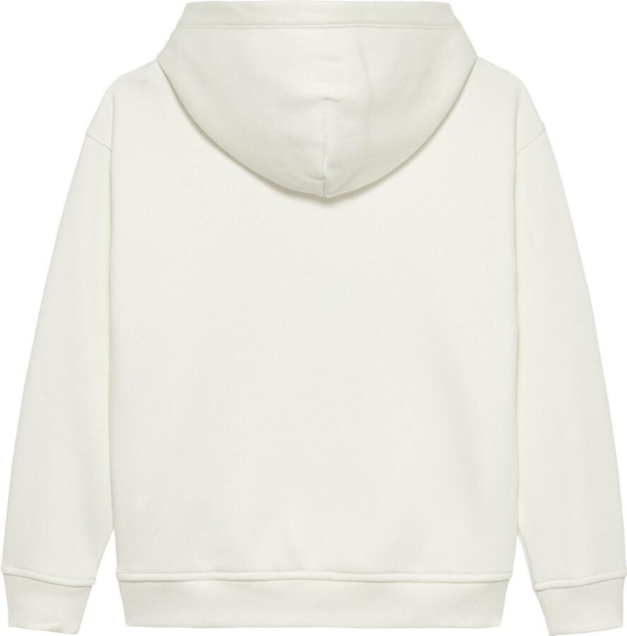 Tommy Hilfiger Hoodie FLAG HOODIE Kinderen tot 16 jaar