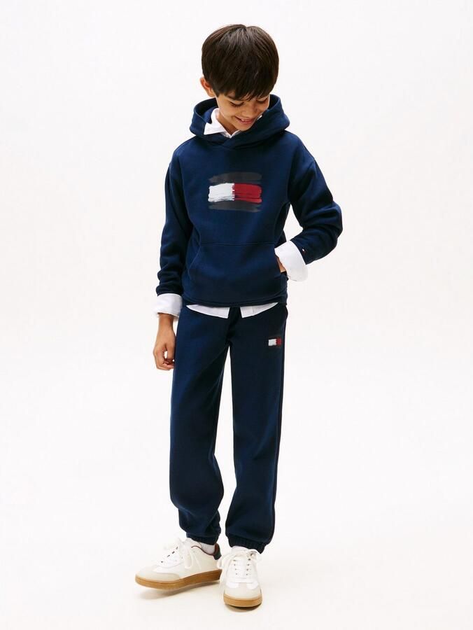Tommy Hilfiger Hoodie FLAG HOODIE Kinderen tot 16 jaar - Foto 3