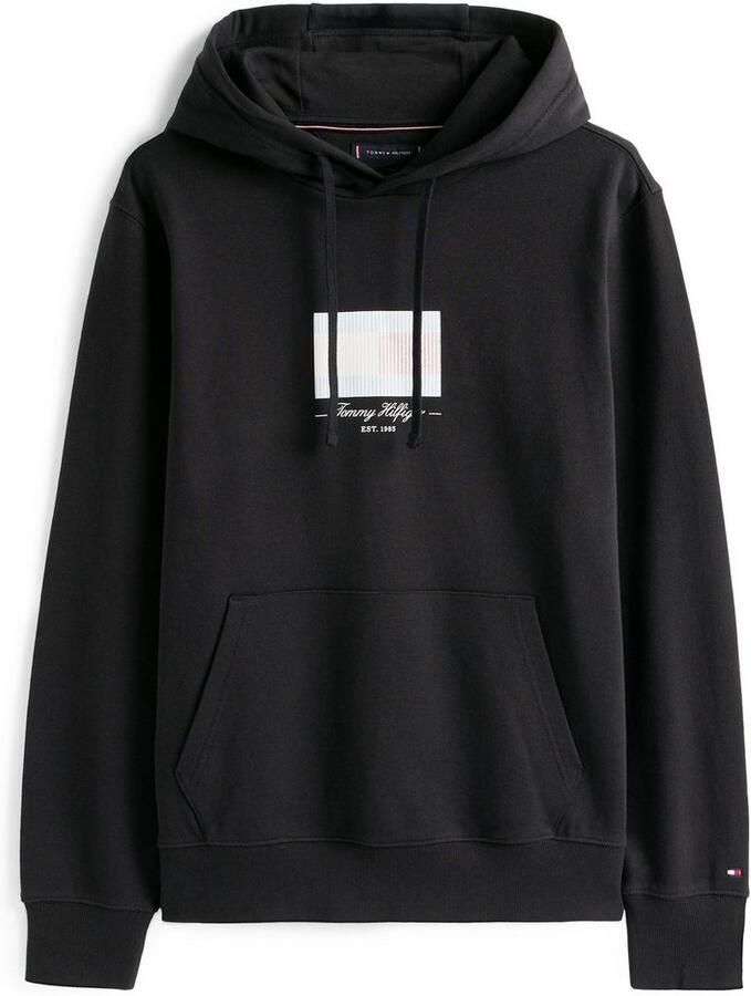 Tommy Hilfiger Sweater ITHACA FLAG HOODIE MW0MW39377 - Foto 3