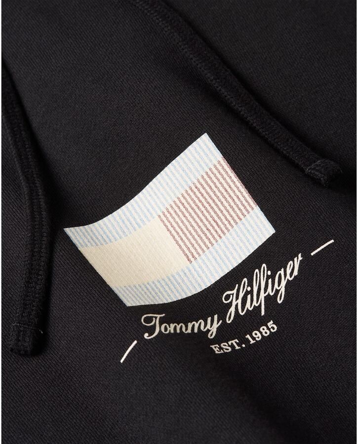 Tommy Hilfiger Sweater ITHACA FLAG HOODIE MW0MW39377