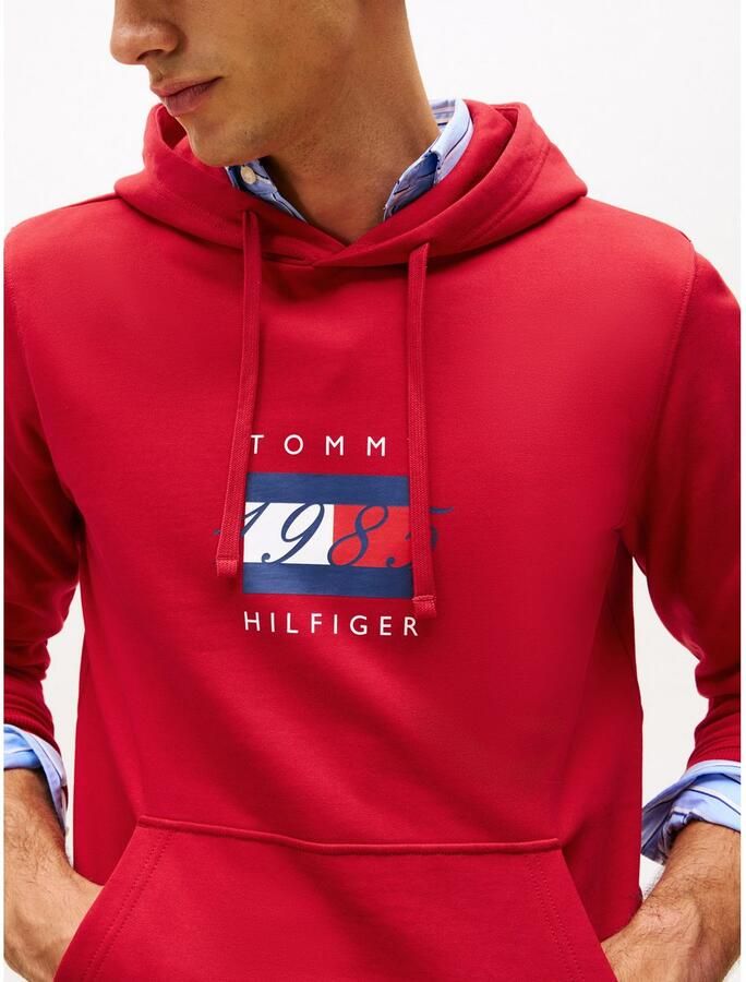 Tommy Hilfiger Hoodie LINEAR FLAG GRAPHIC Regular Fit hoodie capuchon met tunnelkoord