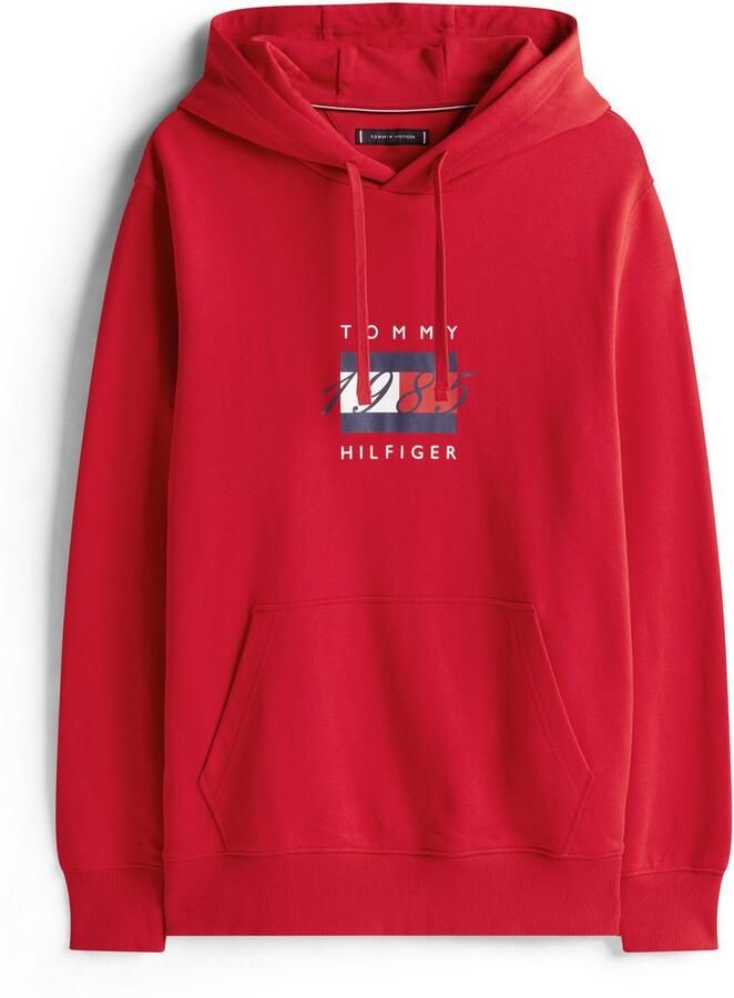 Tommy Hilfiger Hoodie LINEAR FLAG GRAPHIC Regular Fit hoodie capuchon met tunnelkoord - Foto 4