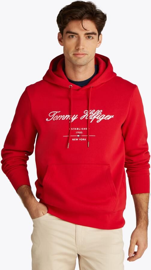 Tommy Hilfiger Hoodie SCRIPT LOGO HOODY met opgestikt logo - Foto 5