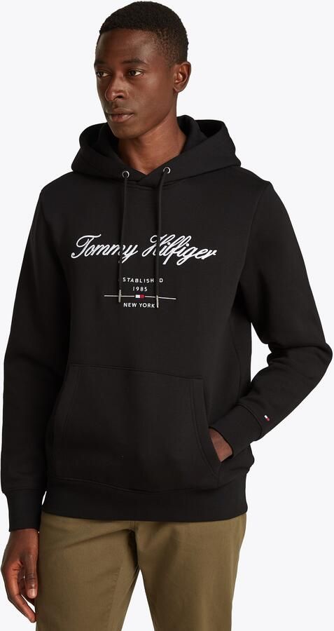 Tommy Hilfiger Hoodie SCRIPT LOGO HOODY met opgestikt logo - Foto 9