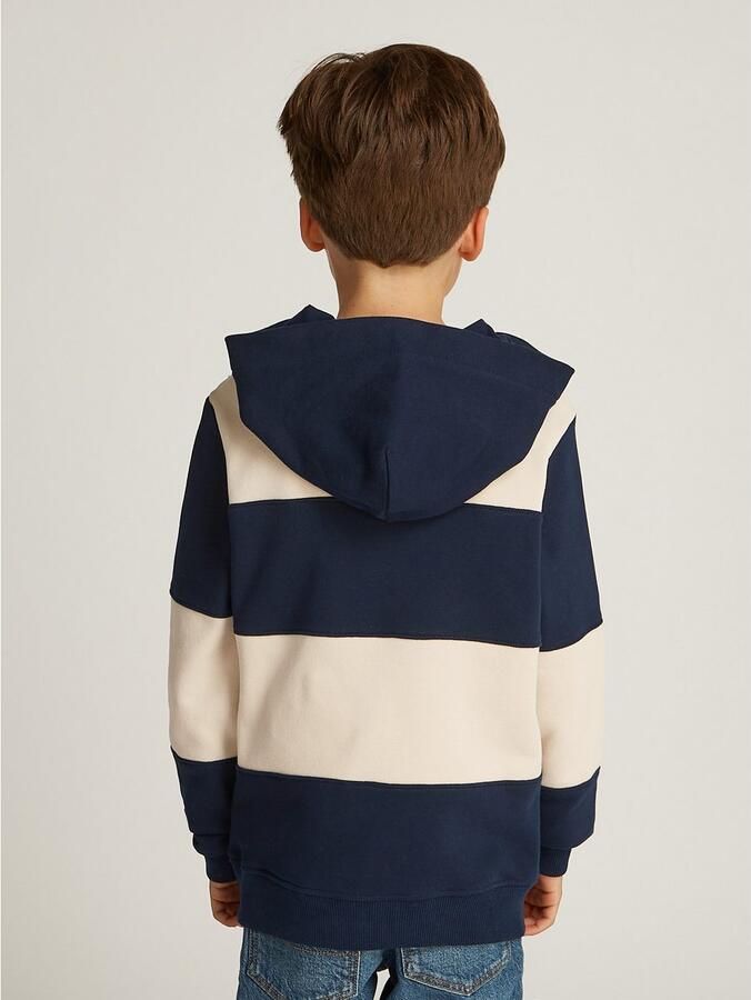Tommy Hilfiger Hoodie STRIPED REG HOODIE