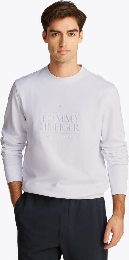 Tommy Hilfiger Sweatshirt HILFIGER EMBRO LOGO SWEATSHIRT - Foto 5
