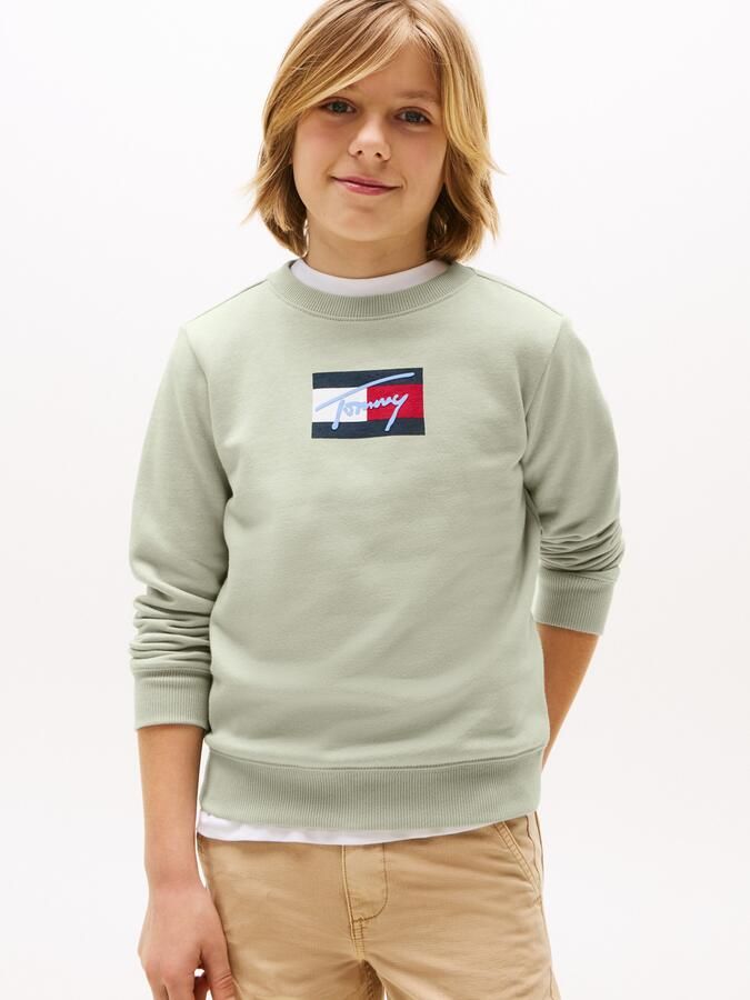 Tommy Hilfiger Sweatshirt TOMMY SCRIPT FLAG SWEATSHIRT voor kinderen tot 16 jaar vlag-logo-print - Foto 6