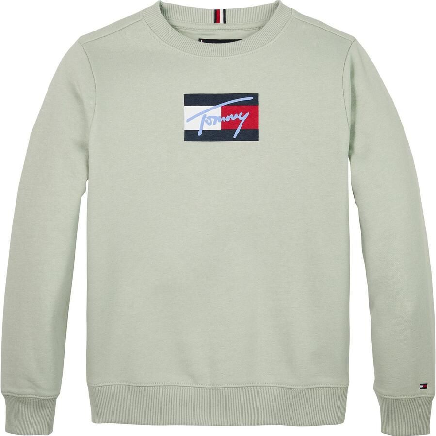 Tommy Hilfiger Sweatshirt TOMMY SCRIPT FLAG SWEATSHIRT voor kinderen tot 16 jaar vlag-logo-print - Foto 2
