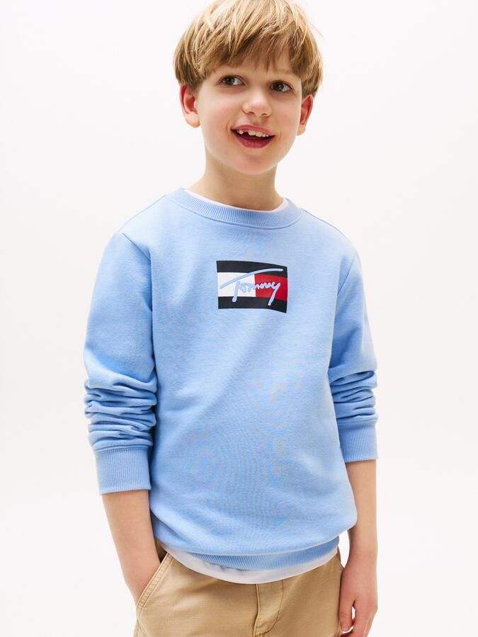Tommy Hilfiger Sweatshirt TOMMY SCRIPT FLAG SWEATSHIRT voor kinderen tot 16 jaar vlag-logo-print - Foto 6