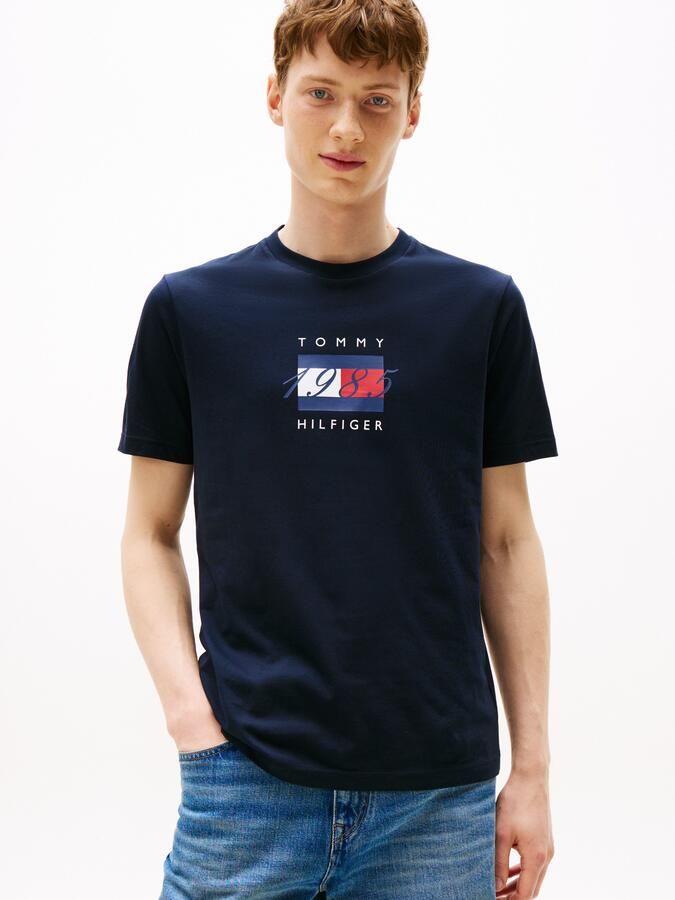 Tommy Hilfiger T-shirt LINEAR FLAG GRAPHIC Ronde hals regular fit jersey - Foto 5