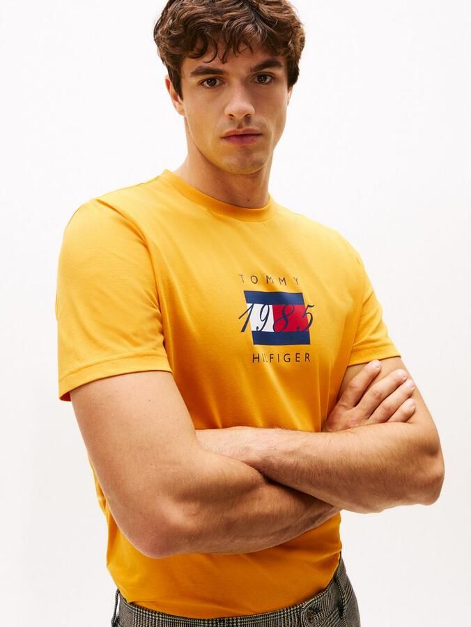 Tommy Hilfiger T-shirt LINEAR FLAG GRAPHIC Ronde hals regular fit jersey - Foto 2