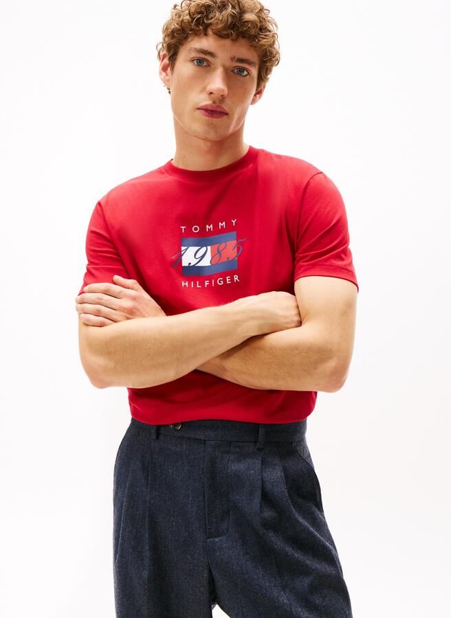 Tommy Hilfiger T-shirt LINEAR FLAG GRAPHIC Ronde hals regular fit jersey - Foto 5