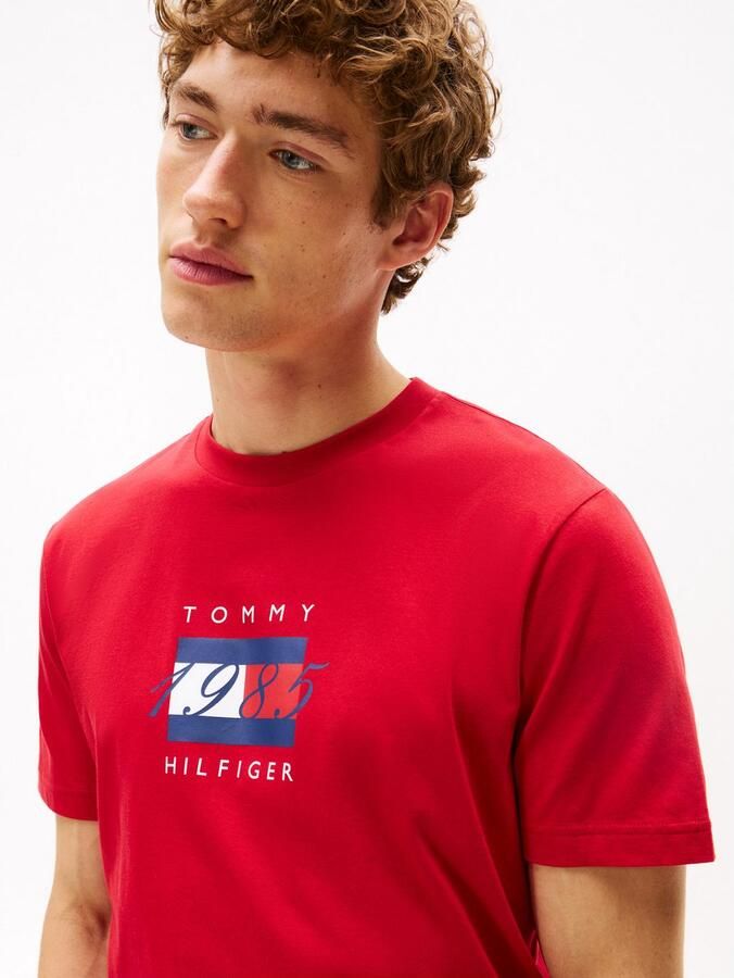 Tommy Hilfiger T-shirt LINEAR FLAG GRAPHIC Ronde hals regular fit jersey - Foto 2