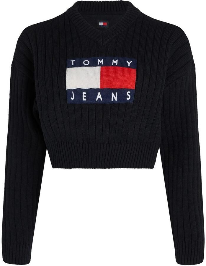 Tommy Jeans Curve Trui met V-hals TJW VNCK CENTER FLAG SWEATER EXT